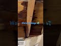 Grandma called said ceiling fell in