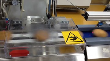 Cup Cake Wrapping Line with Row Distribution