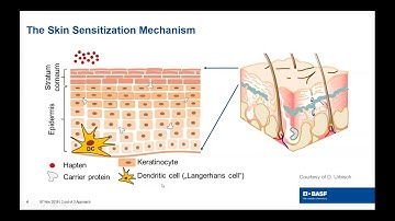 Use of Non-animal Methods for Skin Sensitization Testing