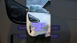 2025 Geely geome