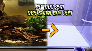 어항을 손쉽게 초기화 하는 방법(ft.바닥재)