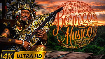 Borneo Music Relaxing Vol #1 |Relaxing sape Music to sleep and  Eliminates Stres | Music of Asia