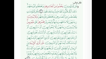 سورة النور 💗 | الآيتان ٣٠-٣١