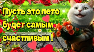 🌞🌈🌼С первым днем лета!🌞🌈💗 Счастливого лета!🌞💗🌈красивая музыкальная открытка🌹