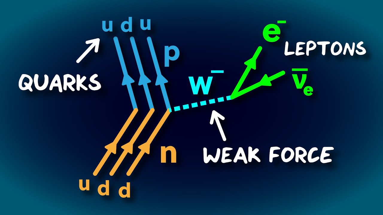 How To Read Feynman Diagrams - YouTube