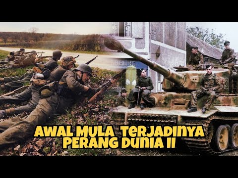 Video: Hubungan cambuk dan serigala