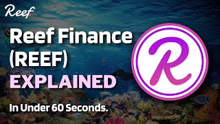 What is Reef Finance (REEF)? | Reef Finance Explained in Under 60 Seconds