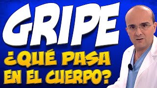 GRIPE  ¿Qué pasa en el cuerpo de quienes la padecen?