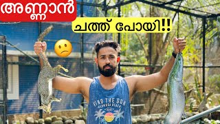 💥ചത്തുപോയ അണ്ണാനും...ചൂണ്ടയിൽ പിടിച്ച അരാപൈമയും.. | Aged Squirrel and Arapaima