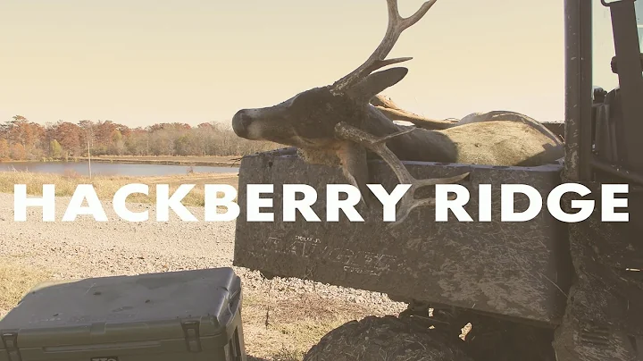 Mississippi Mudd | Hackberry Ridge