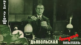 Дьявольская летучая мышь. Американский фильм ужасов 1940 года снятый Джином Ярборо