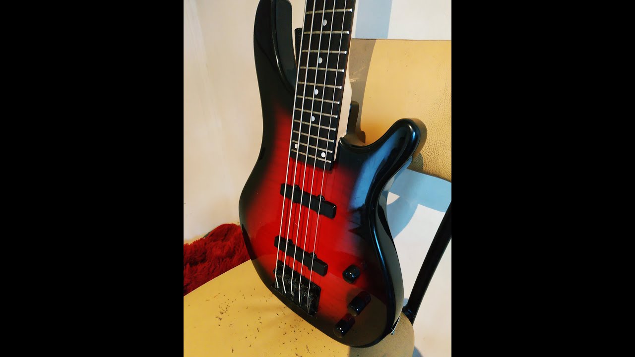 PALMER ECLIPSE 5-DLX BASS - YouTube