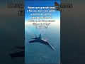 F18 fazendo manobra #gospel #biblia #fernandinho #usa #brasil #portugal #aviation
