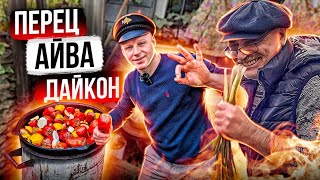 Простой рецепт. ВКУСНЕЙШЕГО ПЕРЦА!! АЙВА/ ЯБЛОКИ/ ДАЙКОН