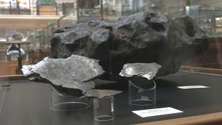El Museo Geominero Celebra Su Centenario Entre Meteoritos, Mastodontes Y El Oro De Los Locos