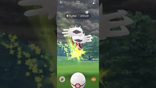 First Yveltal raid & frozen * SHINY * Yveltal is now available too 😃 | Pokemon GO