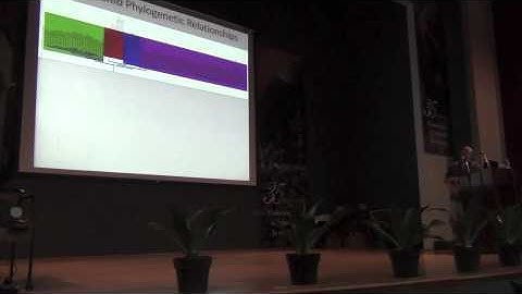 Biodiversity Informatics Training Curriculum: Mapping Disease Risk, Part 2