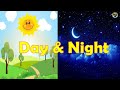 Day and Night Quiz