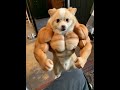 YouTube YouTube
