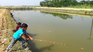 Download Best Fishing Video | Kids Fishing By Daily Village Life Part-22 Video MP3 Best Fishing Video | Kids Fishing By Daily Village Life Part-22