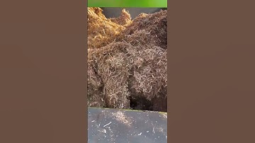 Total ration cattle and sheep preparation machine; TMR total ration feed mixing and blending machine