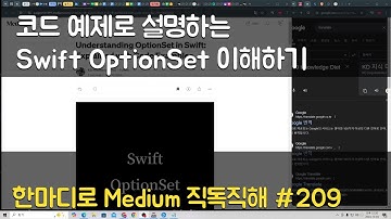 코드 예제로 설명하는 Swift OptionSet 이해하기 - Medium 직독직해 #209