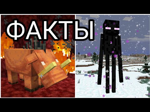 Видео: ФАКТЫ, О КОТОРЫХ ВЫ ТОЧНО НЕ ЗНАЛИ В MINECRAFT