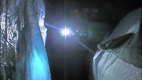 BEAMSHOT Red Laser-Flashlight Combo