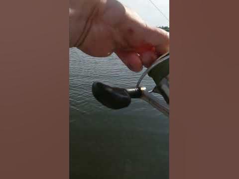 Вываживаю щуку на спиннинг, катушка Риоби Эксия 4000. #щука #трофей # ...