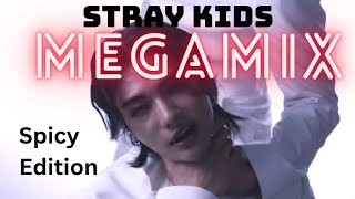 Stray Kids Megamix - spicy songs only