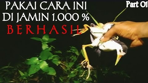 BERBURU RUAK RUAK DENGAN TANGAN KOSONG EPISODE 01