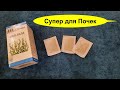 Трава ПОЛ-ПАЛА спасает почки а так же лечит 20 болезней и недугов