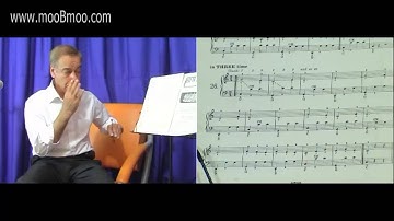 mooBmoo com Accordion E003