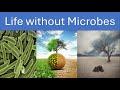 Life without microbes impact on earths ecosystem