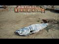 The Beach - Calm OST: Sounds Of The Undergrowth