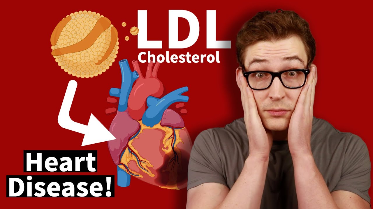 Cholesterol Heart Disease Killer? [Science Breakdown] YouTube