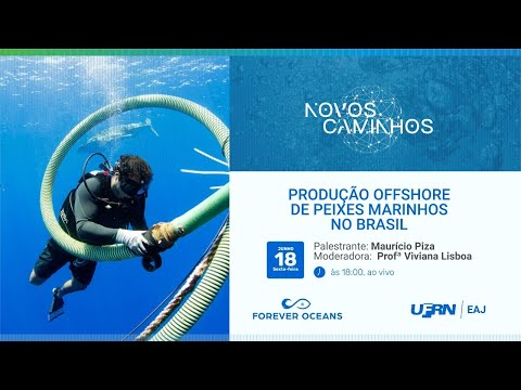 Produção offshore de peixes marinhos no Brasil