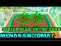 Video Animasi Anak Game BELAJAR MENANAM TOMAT Hey Tayo