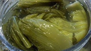 Asian Pickled Mustard Greens(chrouk spey)