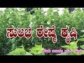 ರೈಷ್ಮೆ ಕೃಷಿಯಲ್ಲಿ ರೈತರ ಅನುಭವ||Silk||Organic Mulberry ||Hippunerale ||Silk Farming Mulberry