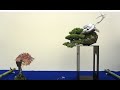 [long] 大観展 2019 展示スライドショー