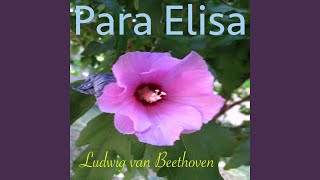 Para Elisa, WoO 59 (Piano Solo Version)