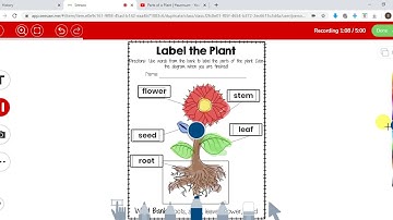 Student seesaw 5-How to check your teacher
