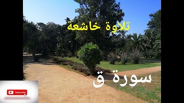 تلاوة مؤثرة لسورة ق للقارئ صلاح المصلي