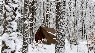 Hammock Camping in WINTER WONDERLAND  post snowstorm PERFECT conditions