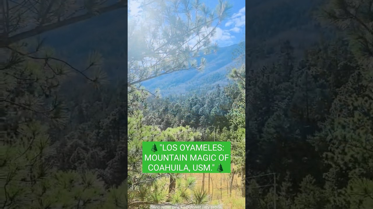 🌲" LOS OYAMELES ARTEAGA COAHUILA MX."🌲 #mexico #christmas #houston #travel #usa #mty #monterrey