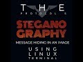 Hide Secret Messages in Images Using Linux Terminal 🖼️ | Steganography Tutorial