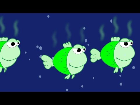 Vidéo: Poisson-grenouille