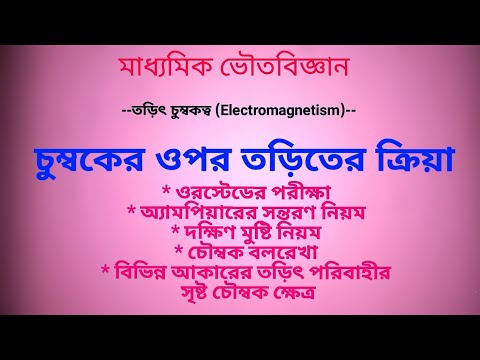 ভিডিও: লেভিটিং পট: ফ্লাইং প্লান্ট ফ্লাওয়ারপটের বৈশিষ্ট্য। বাতাসে ভাসমান একটি চৌম্বক পাত্র কিভাবে কাজ করে?