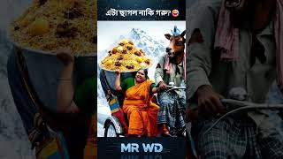 চচর বরযন নষট করল কন?